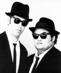 Blues Brothers Blues and Soul Revue Band